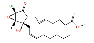 10,11-Epoxychlorovulone II